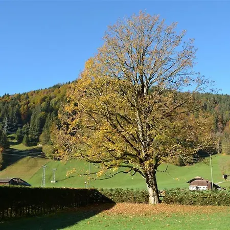 Oberland Nr- 3 Appartement-fewo- Dusche Oder Bad- Wc 8-bettwohnung By Interhome *